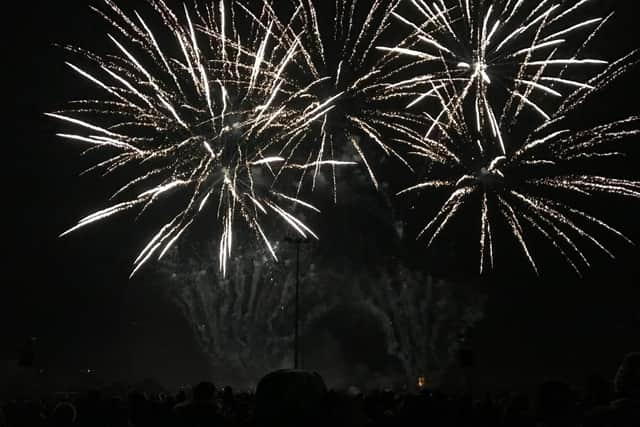 A call to clampdown on excessively noisy fireworks is one of a series of measures agreed by Warwick District Council.