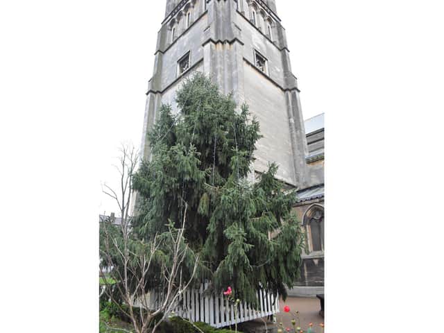 The tree, at St Andrew's in the town centre.