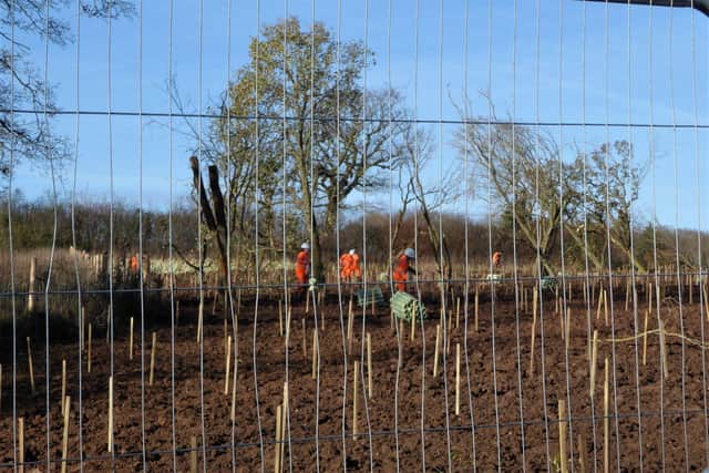 HS2 crews prepare a site for tree saplings. Photo by Frances Wilmot.