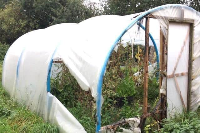 The damaged poly tunnel at the allotment. Photo supplied