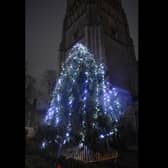 The tree, outside St Andrew's in the town centre.