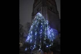 The tree, outside St Andrew's in the town centre.