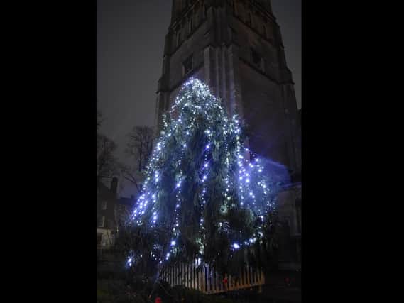 The tree, outside St Andrew's in the town centre.