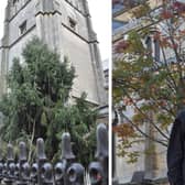 Left, Rugby Rotary's Tree of Light outside St Andrew's and, right, Canon Edmund Newey.