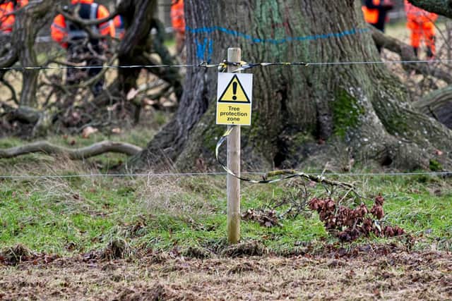 HS2 workers remove the branches of an ancient oak tree next to a sign for a 'Tree Protection Zone'. Photo by Dave Hastings, dhphoto