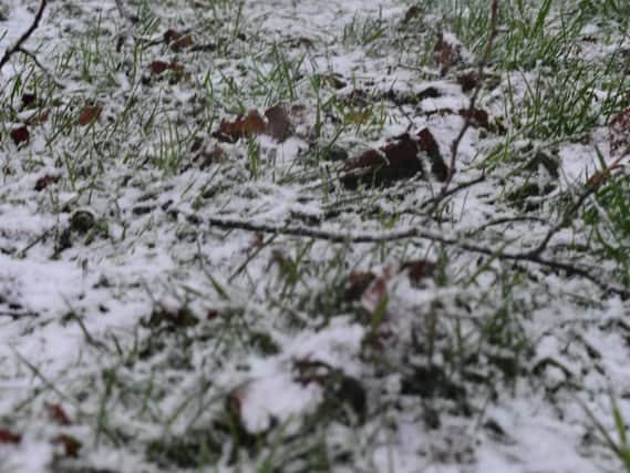 We took a picture of some snow in the ground.