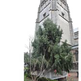 The Tree of Light, outside St Andrew's.