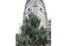 The Tree of Light, outside St Andrew's.