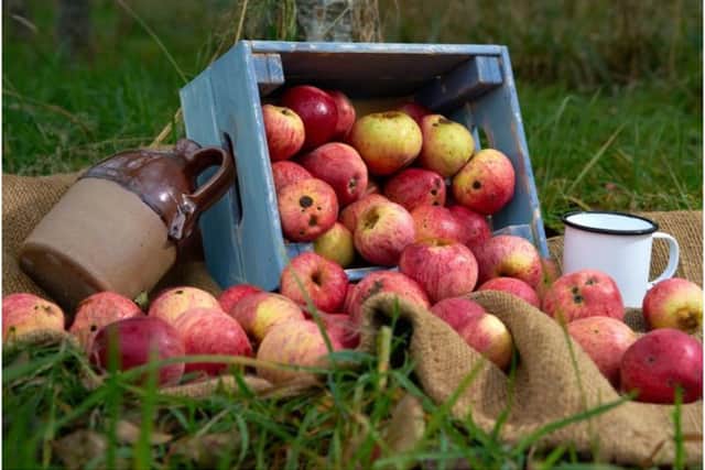 The owners of Napton cidery have launched a new crowdfunding campaign to help mount a post-pandemic recovery of their business. Photo supplied