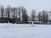 The snowman population in parks across Rugby has exploded. We think it might have something to do with the snow.