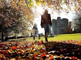 Keniworth Castle's grounds will be open for people to get some fresh air and exercise during the forthcoming school half term.