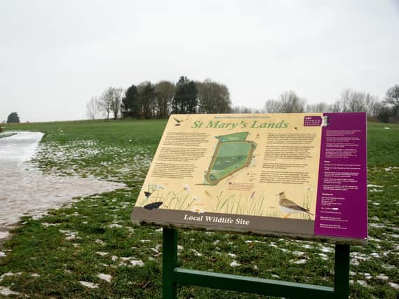 St Mary's Lands
