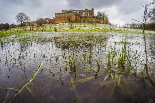 Kenilworth Castle by Will Johnston