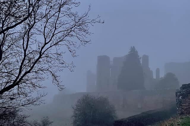 Kenilworth Castle by Will Johnston