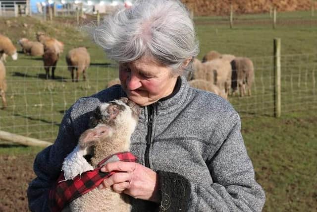 Sanctuary founder Carole Webb.