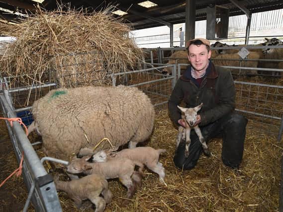 Moreton Morrell College farm manager Henry Dingle with some of his flock of sheep. Photo supplied