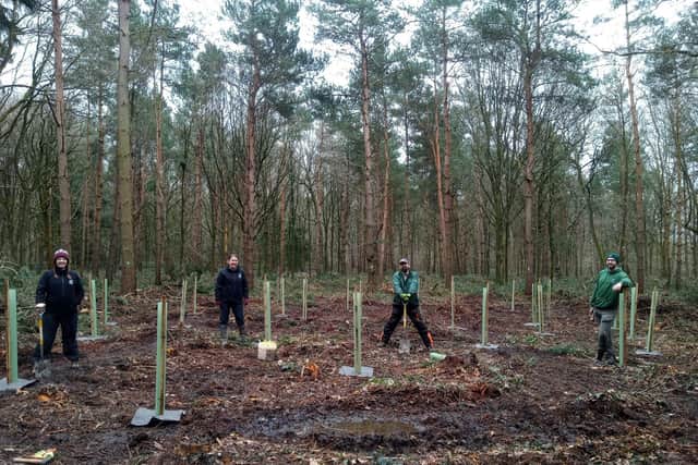 Pictured planting trees are Warwickshire Wildlife Trust staff members L-R:
Faye Irvine, Kat Reay, Pete Thorne and Nick Feledziak. Photo supplied