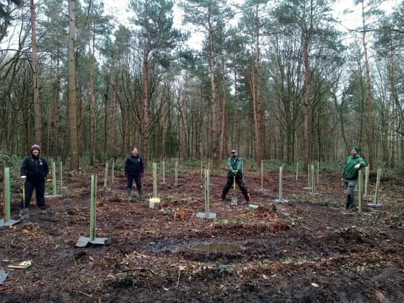 Pictured planting trees are Warwickshire Wildlife Trust staff members L-R:
Faye Irvine, Kat Reay, Pete Thorne and Nick Feledziak. Photo supplied