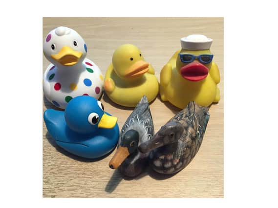 Kenilworth Lions are asking people to 'Love a Duck' and donate to a good cause.