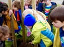Pupils from Emscote Infant School and All Saints’ C of E Junior School planting trees. Photo supplied
