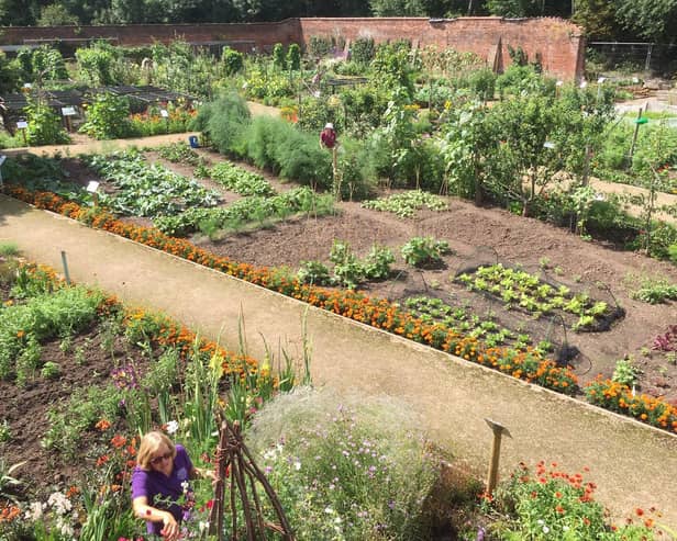 Volunteers working at Guy's Cliffe Walled Garden. Photo submitted