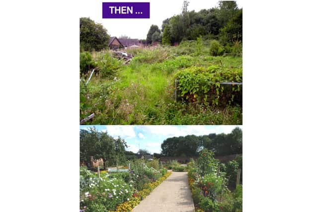 Before and after at Guy's Cliffe Walled Garden. Photo submitted