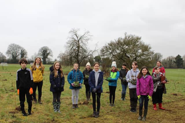 Pupils at North Leamington School (NLS) have taken part in tree planting event to help towards a greener future for all.