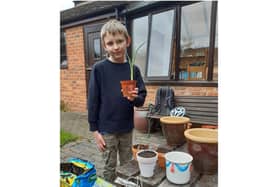 Thomas, one of the Beavers, encouraged other Beavers, Cubs, Scouts and neighbours to decorate plant pots, he then filled them with compost and an iris bulb, and had enough to give one to each resident at Galanos house. Photo supplied