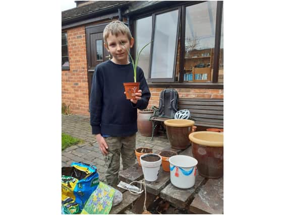 Thomas, one of the Beavers, encouraged other Beavers, Cubs, Scouts and neighbours to decorate plant pots, he then filled them with compost and an iris bulb, and had enough to give one to each resident at Galanos house. Photo supplied