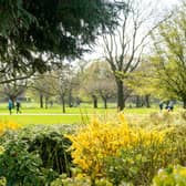 Photos of St Nicholas' Park, Warwick