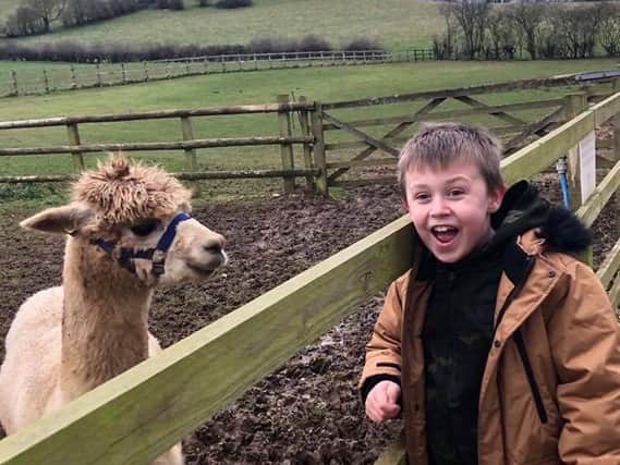 Charlie Hiner meets Charlie the alpaca for the first time
