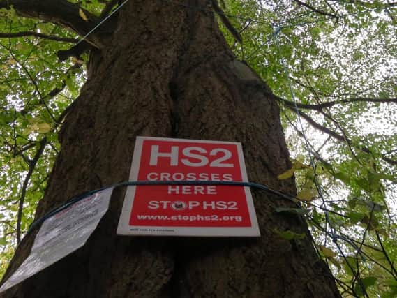 HS2has defended its use of specially-trained hawks to stop birds nesting near their construction sites around Leamington and Kenilworth.