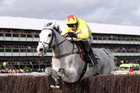 Politologue and Harry Skelton jump the last on their way to winning the Betway Queen Mother Champion Chase