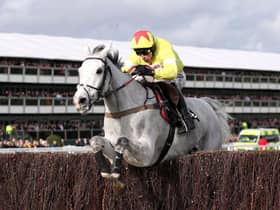 Politologue and Harry Skelton jump the last on their way to winning the Betway Queen Mother Champion Chase