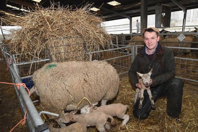 Nether Moreton Farm manager Henry Dingle holds one of the newest additions to
the farm. Photo supplied