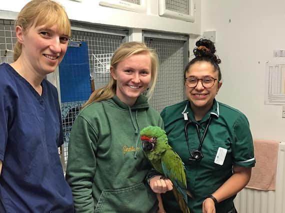 Avonvales Heathcote team hand over Wilma to Wild Zoological Park.