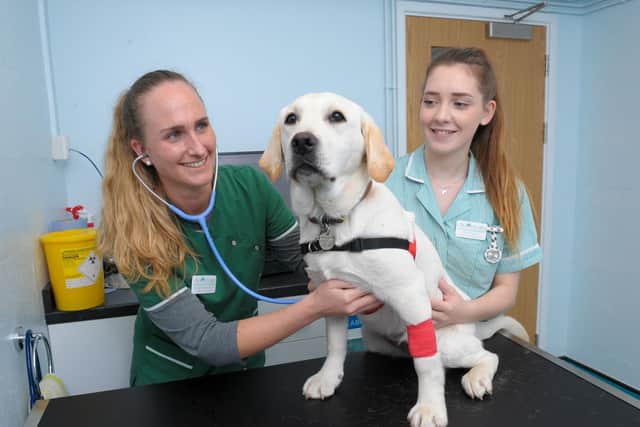 Avonvale Veterinary Centres is offering remote video consultations to provide clients with valuable access to their vets during the Coronavirus lockdown