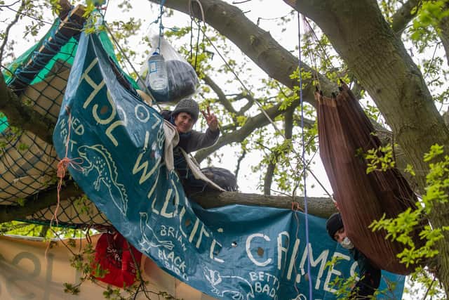 HS2 protesters staying in treehouses at Crackley Woods near Kenilworth.