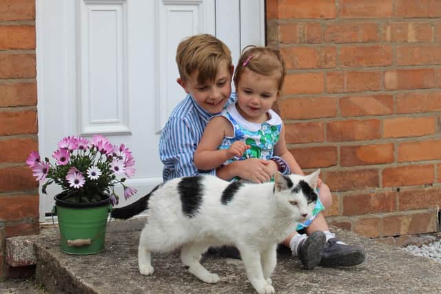 Beth Grayling runs Floss & Bea Photography has been capturing doorstep photos of familes, with donations going to charity.