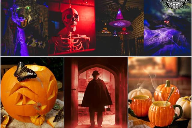 There are several events taking place in and around Warwickshire for half-term, Halloween and Bonfire Night. Photos supplied by Shakespeare's England