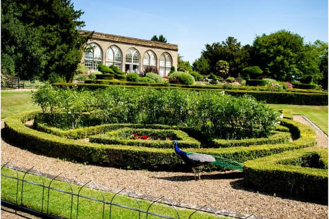 The Peacock Garden at Warwick Castle. Photo by Warwick Castle