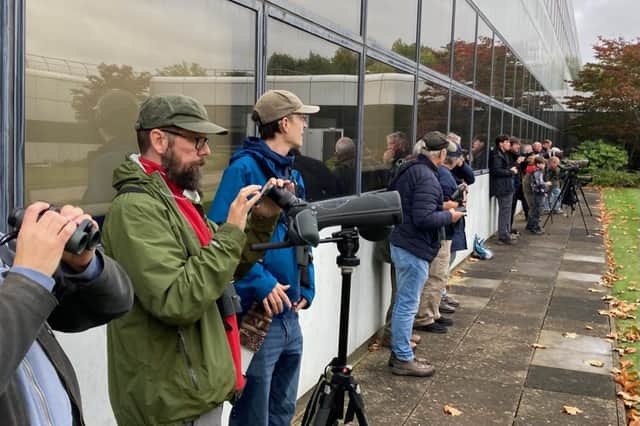 Birdwatchers lining up with their cameras to get a shot of the hoopoe. Photo by Rick Thompson