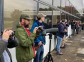 Birdwatchers lining up with their cameras to get a shot of the hoopoe. Photo by Rick Thompson