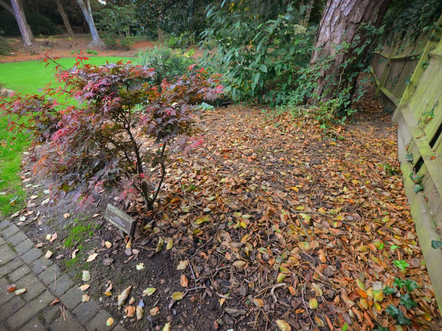 Manor Gardens in Bexhill pictured in autumn, 27/10/21. SUS-211027-145957001