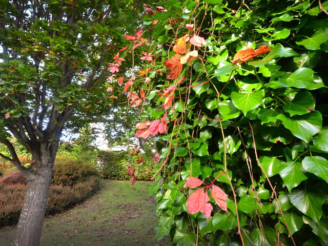 Manor Gardens in Bexhill pictured in autumn, 27/10/21. SUS-211027-145834001