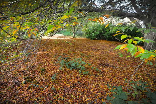 Alexandra Park in Hastings pictured in autumn, 27/10/21 SUS-211027-150253001