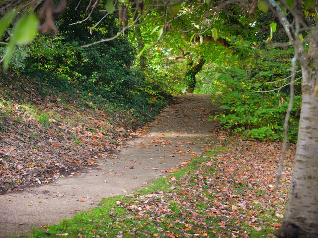 Alexandra Park in Hastings pictured in autumn, 27/10/21 SUS-211027-150335001