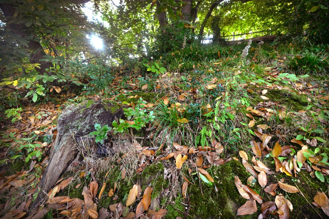 Alexandra Park in Hastings pictured in autumn, 27/10/21 SUS-211027-150429001