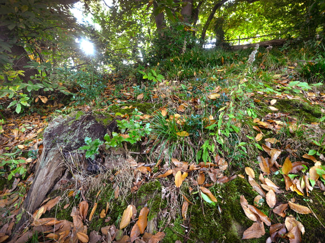 Alexandra Park in Hastings pictured in autumn, 27/10/21 SUS-211027-150429001