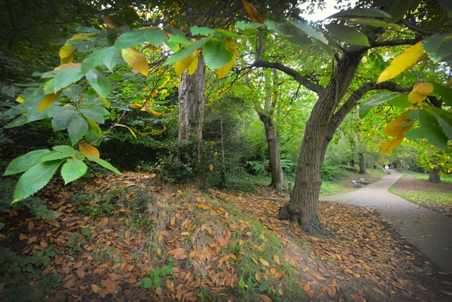 Alexandra Park in Hastings pictured in autumn, 27/10/21 SUS-211027-150443001
